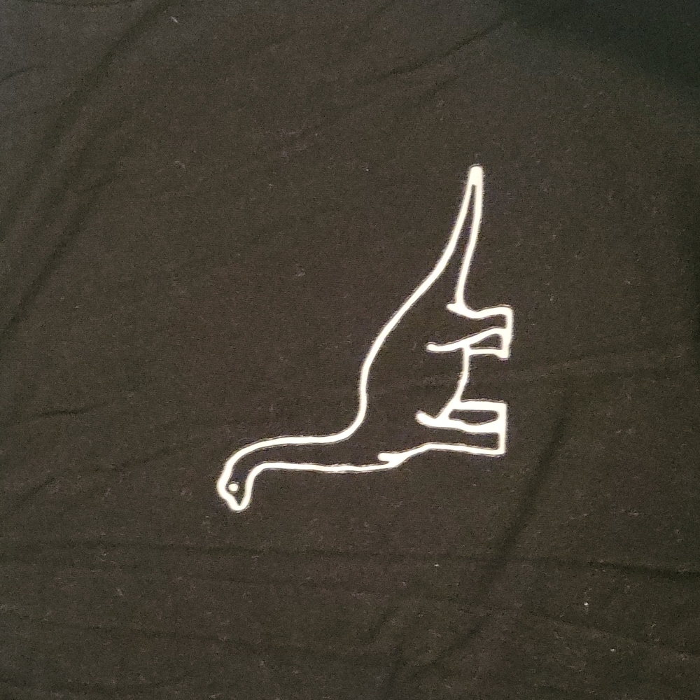 Dino shirt